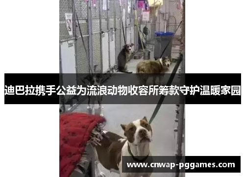 迪巴拉携手公益为流浪动物收容所筹款守护温暖家园