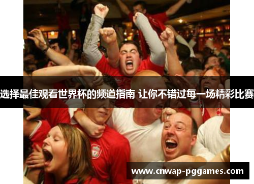 选择最佳观看世界杯的频道指南 让你不错过每一场精彩比赛