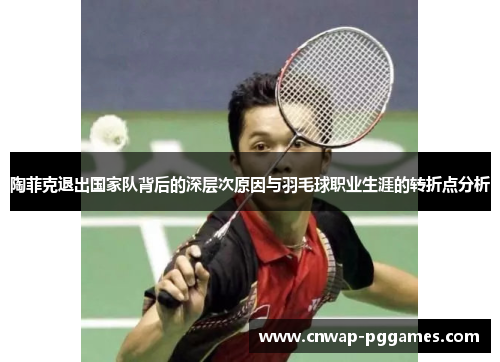 陶菲克退出国家队背后的深层次原因与羽毛球职业生涯的转折点分析